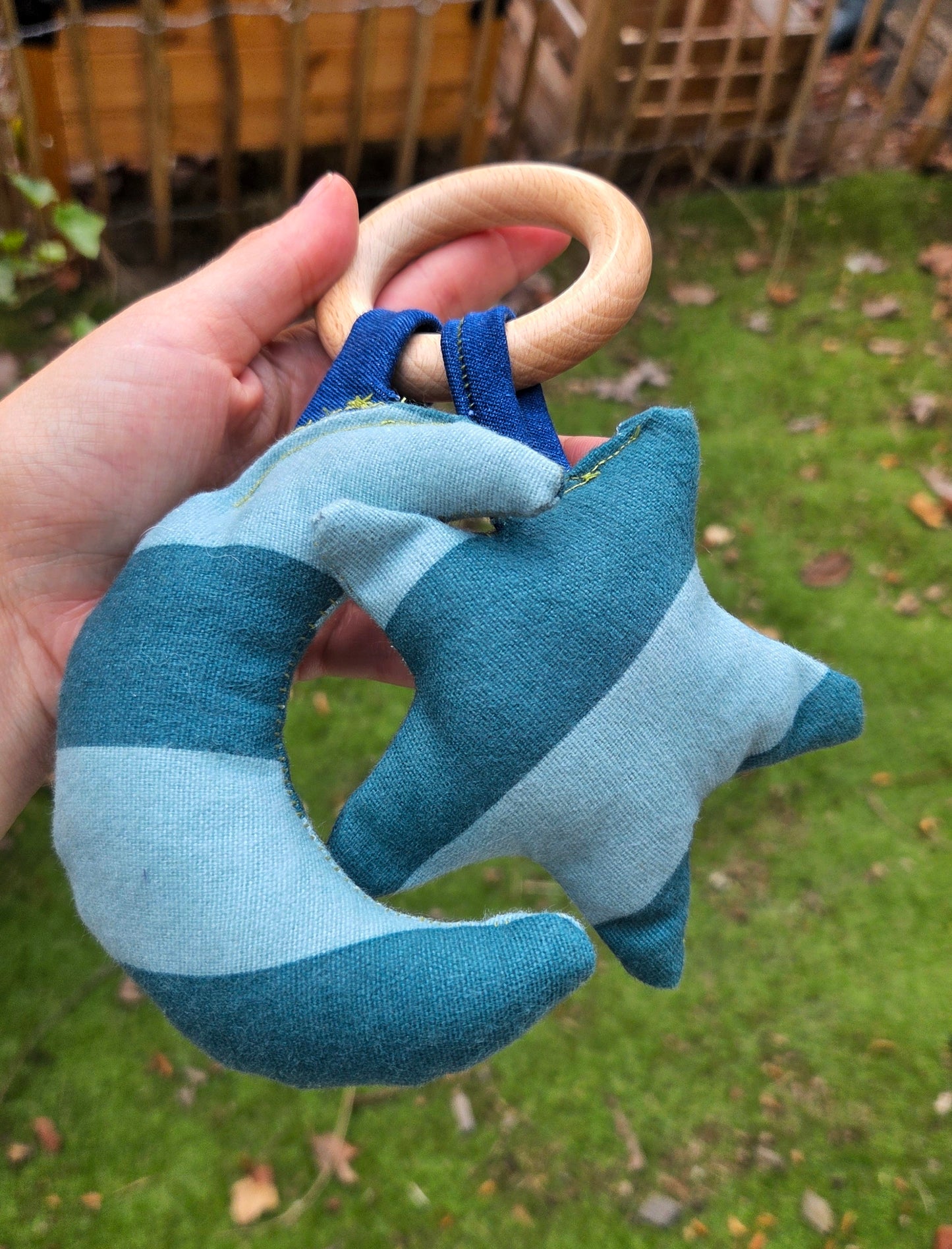 Rammelaar to the moon and back
